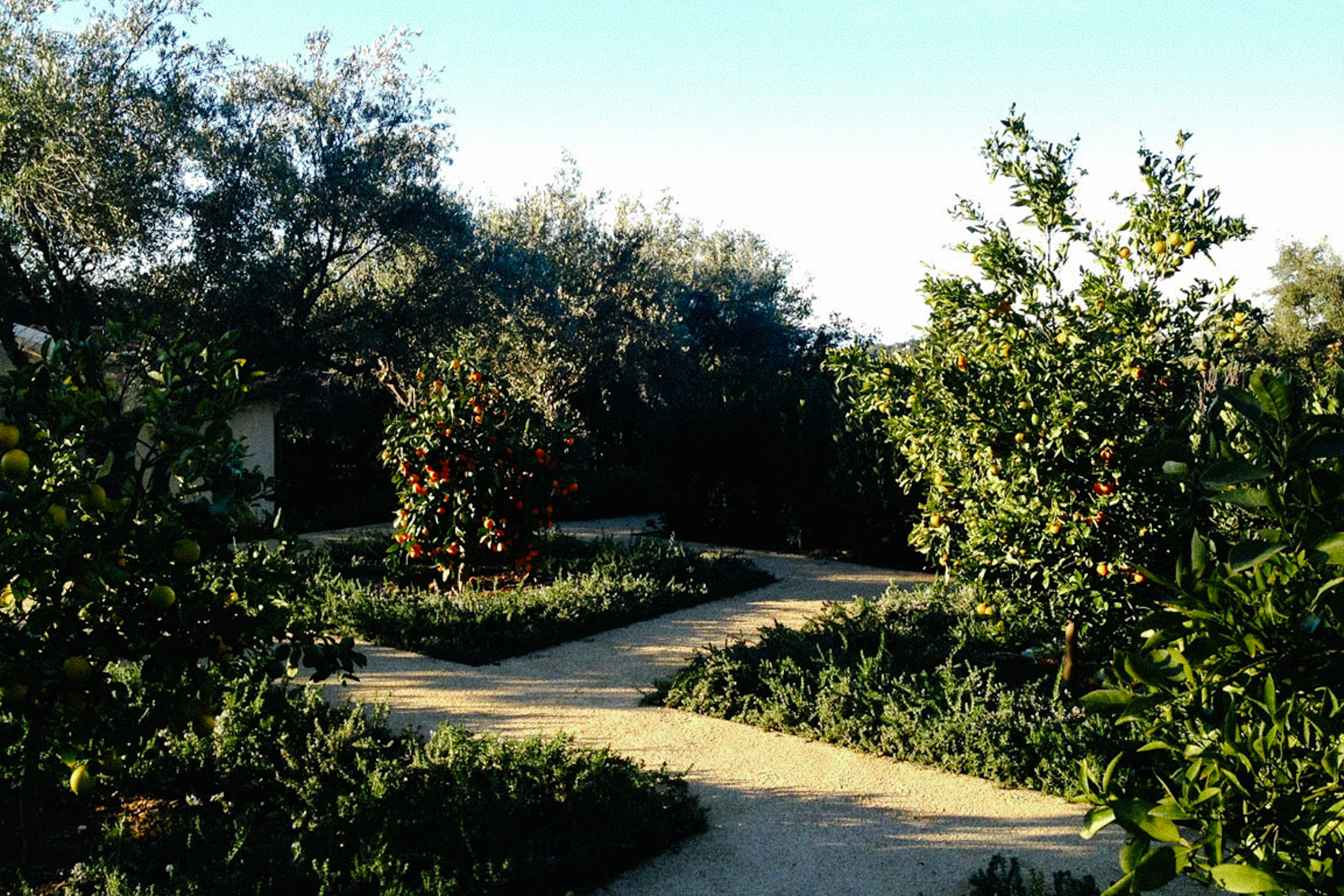 Montecito — plate 4