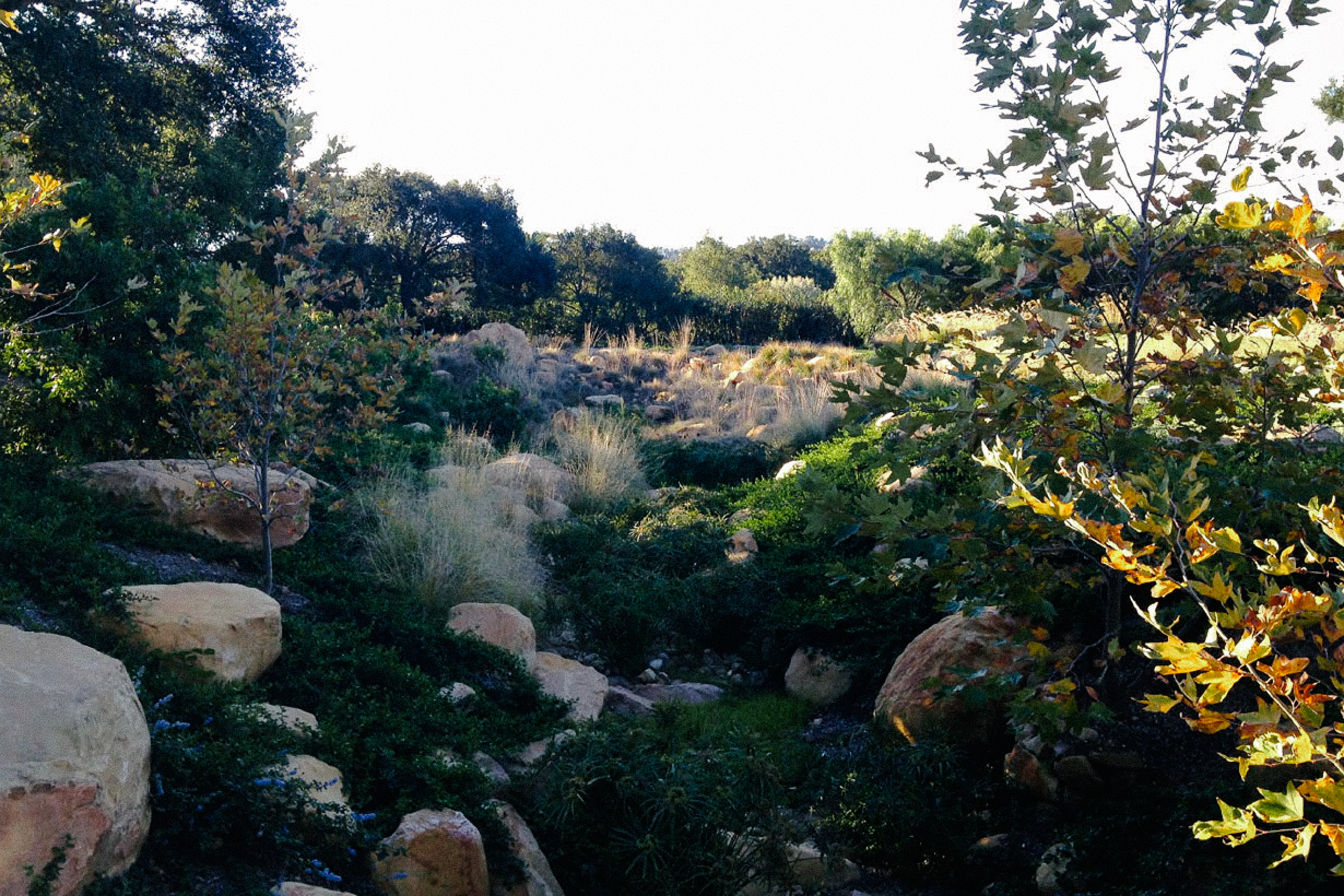 Montecito — plate 5