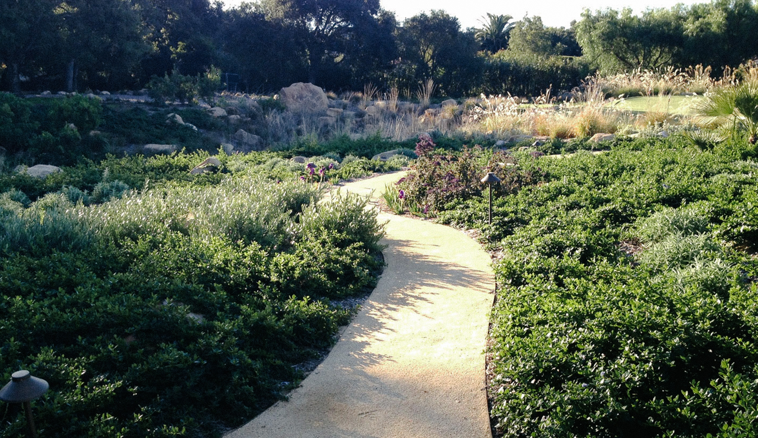 Montecito — plate 6