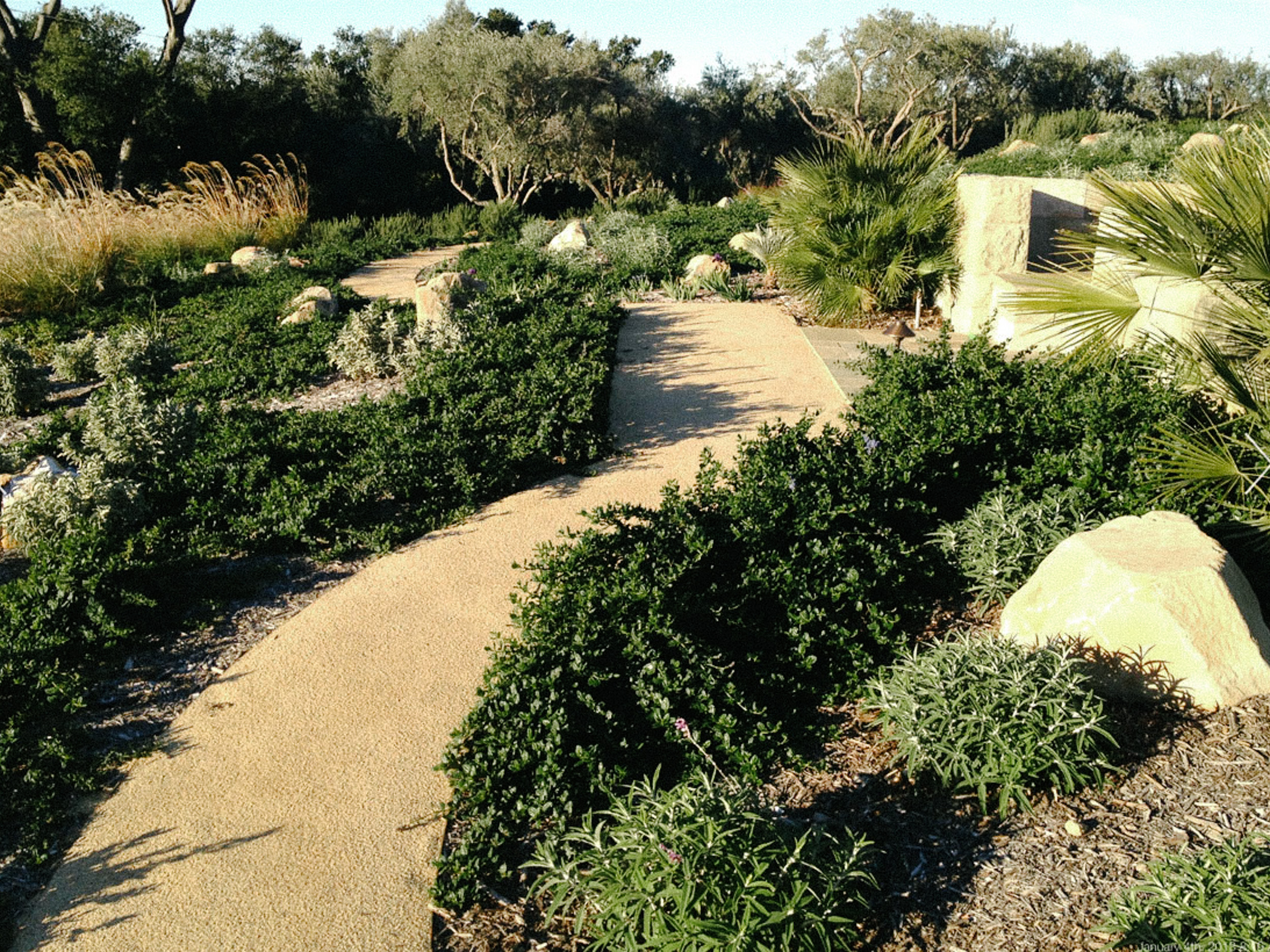 Montecito — plate 7