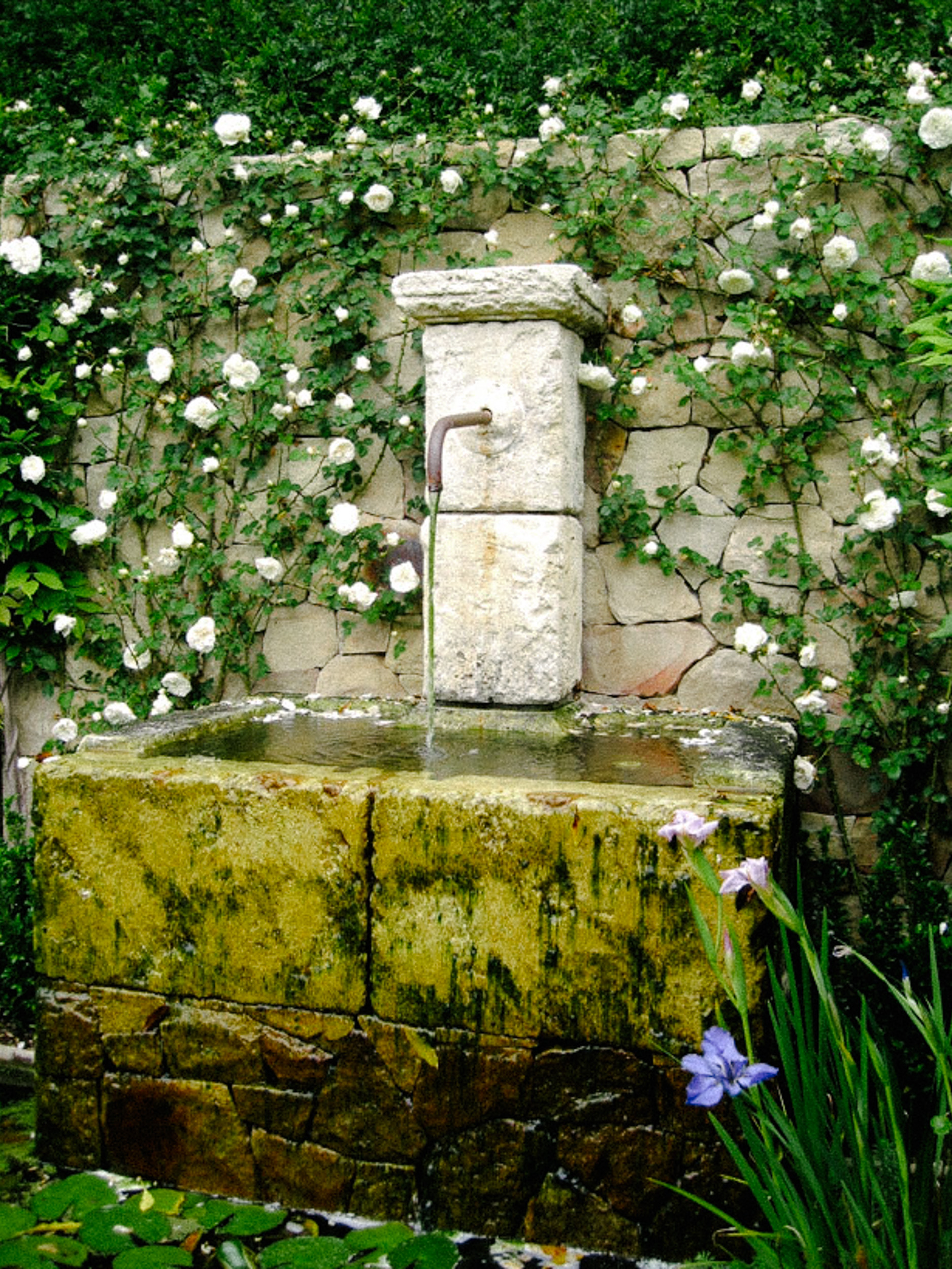 Santa Monica Canyon I — plate 2