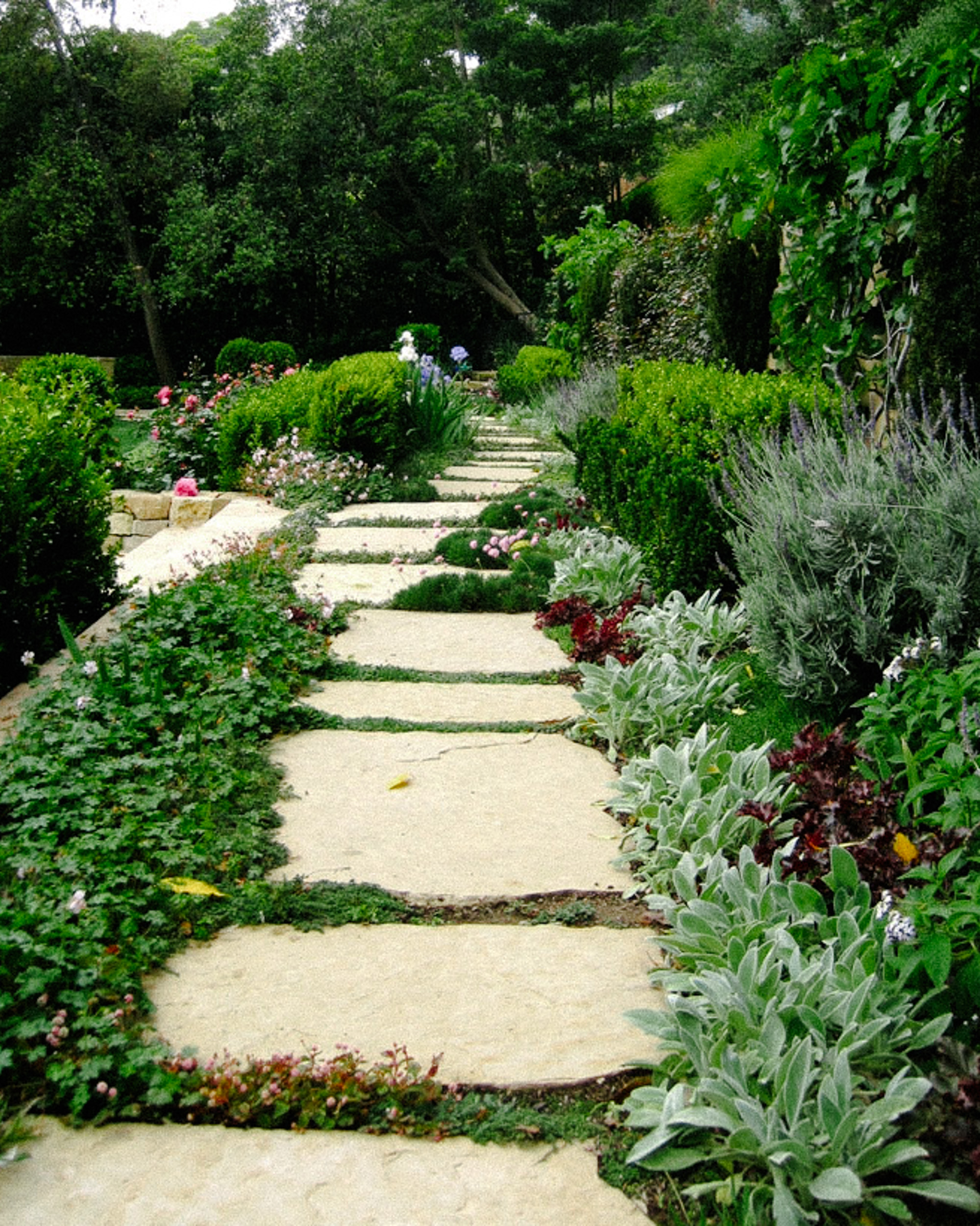 Santa Monica Canyon I — plate 3