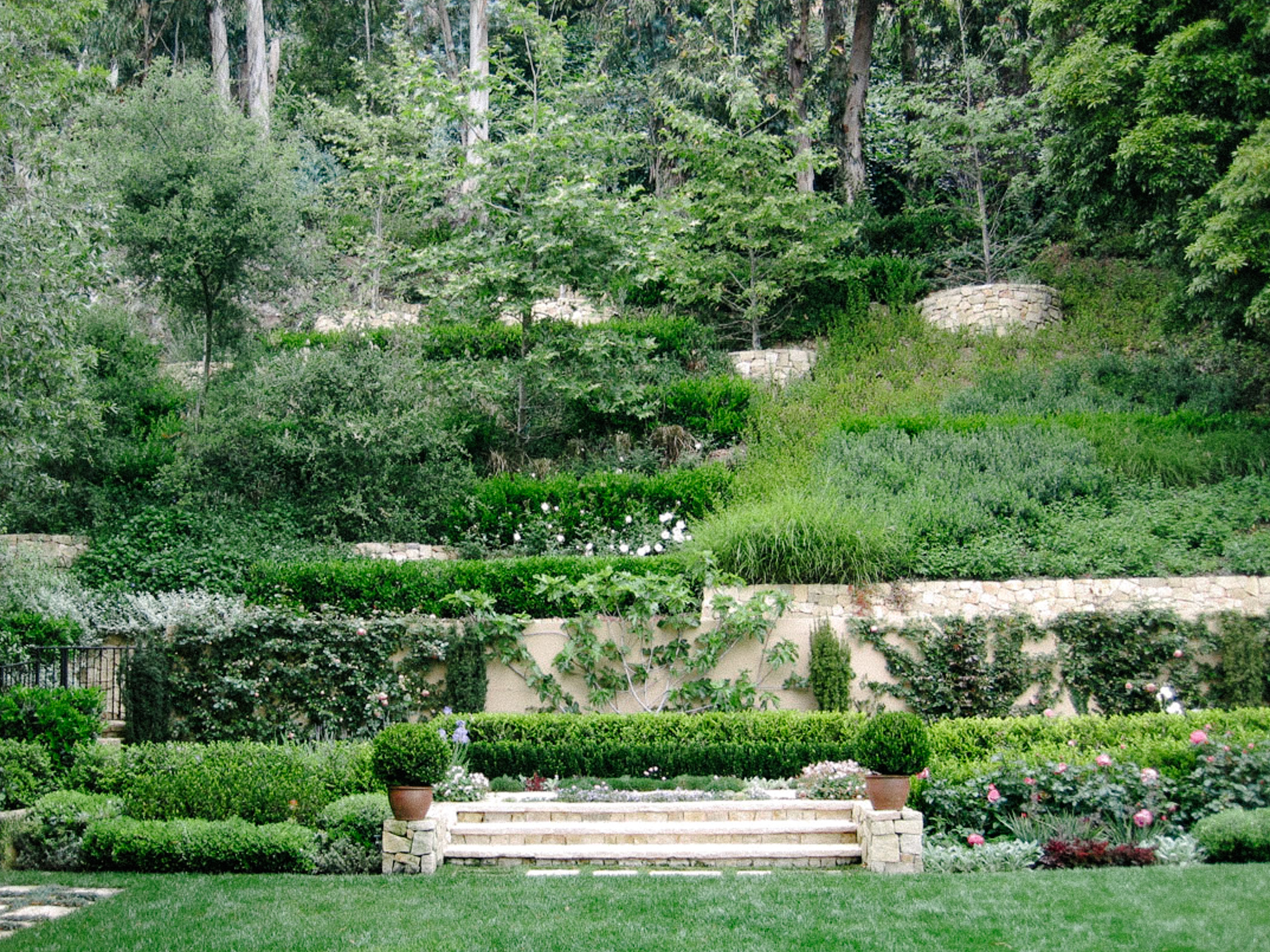 Santa Monica Canyon I — plate 6