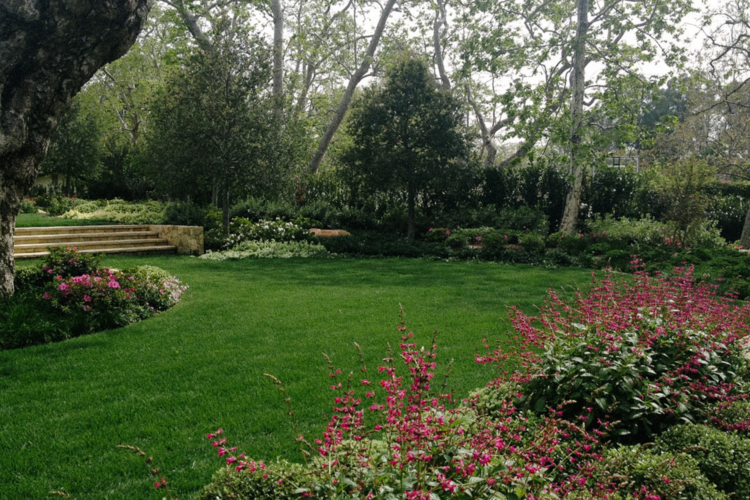 Santa Monica Canyon II — plate 5